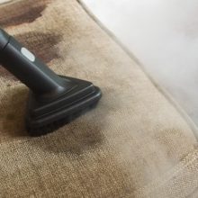 limpieza profunda de telas soil shield